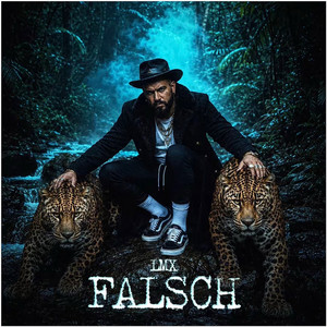 Falsch by LMX