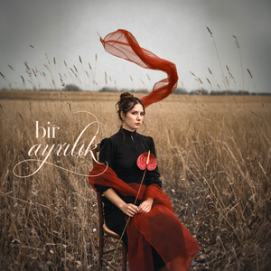 Bir Ayrılık Bir Yoksulluk by Fatma Aydoğan
