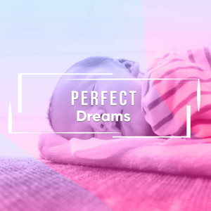 # 1 Album: Perfect Dreams album