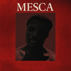 Fly Away by Mesca