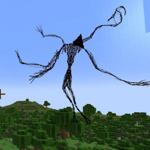 ErgoFoxy - MAZE RUNNER XD