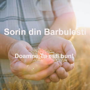 Sorin din Barbulesti - Doamne, Tu esti bun!