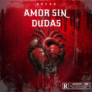 AMOR SIN DUDAS by BOYKA'
