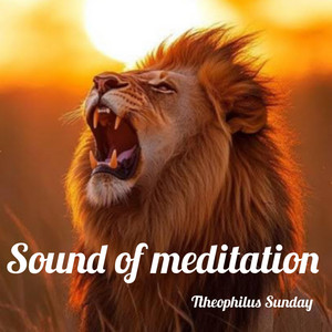 Theophilus Sunday - Sound Of Meditation (strings)