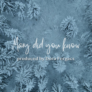Mary, did you know? - Cinematic Version