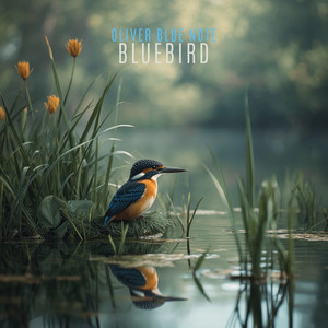 Bluebird by Oliver Blue Note