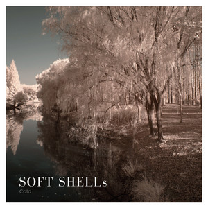 Cold by Soft Shells