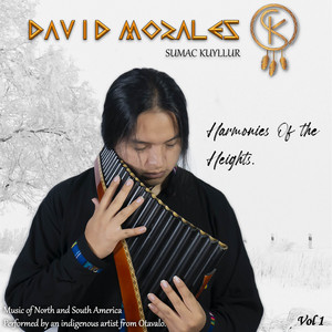 David Morales Sk - Vida Ya No Es Vida