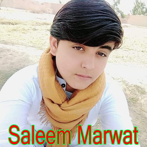 Saleem Marwat - Alam Sa Ba Darta Wayam