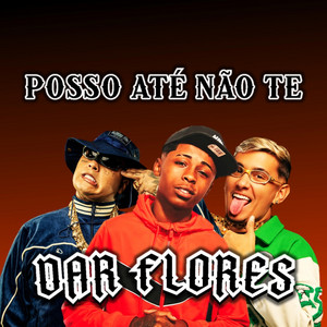 POSSO ATÉ NÃO TE DAR FLORES - Remix