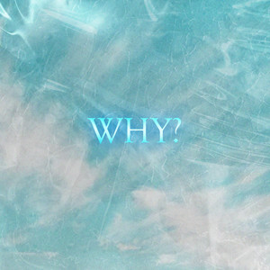 WHY by quei