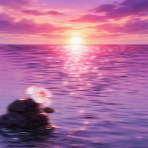 Voyage voyage - slowed + reverb by Velocite