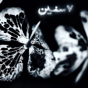 $ by YAQEEN