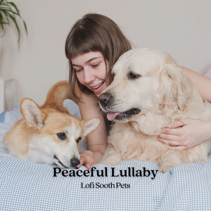 Peaceful Lullaby: Lofi Sooth Pets album
