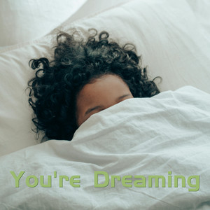 You’re Dreaming by Leopold Bird