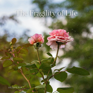 The Fragility of Life by Vespera