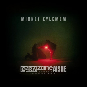 Minnet Eylemem