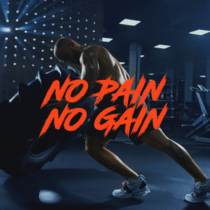 No Pain No Gain - Compilation by Various Artists | Spotify