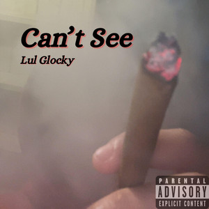 Can't See