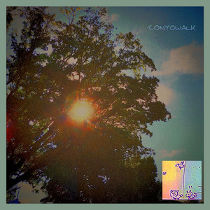 conyowalk by AIR