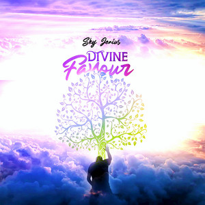 Sky Jenius - Divine Favour