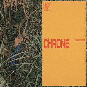 not even noticed — chrone (2026)