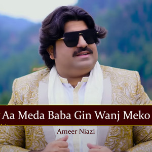 Ameer Niazi - Aa Meda Baba Gin Wanj Meko