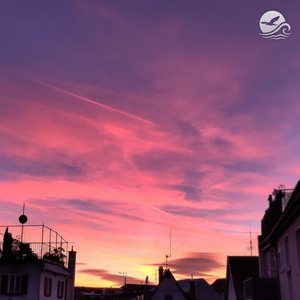 Purple Sky by Slowflight