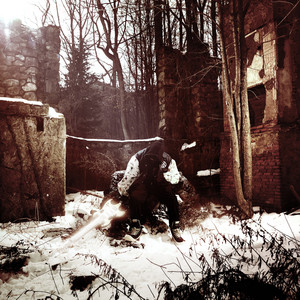album cover: The Indomitable Human Spirit (Deluxe)