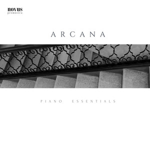 Piano Misterioso: Saltatiancula Araneosa by Barbara Arens, Joanna Sochacka