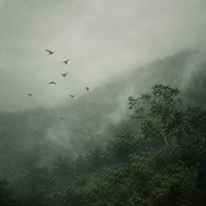 Rainbirds by Wetland Echo