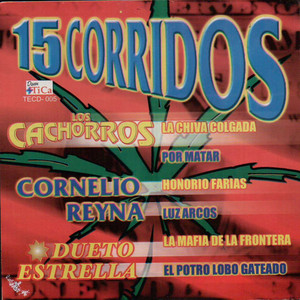 Los Cachorros - Mariano Resendez