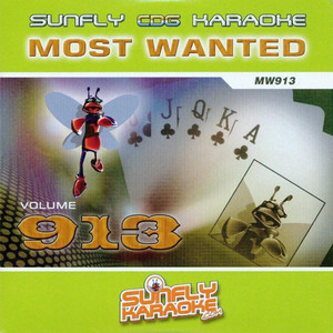 29 Palms In the Style of Robert Plant - song and lyrics by Sunfly Karaoke |  Spotify