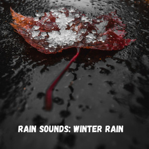 Rain Sounds: Winter Rain album