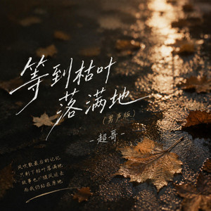 等到枯叶落满地 - 男声版 by 超哥