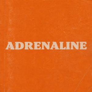 Adrenaline by Chase, Salim B