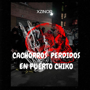 CACHORROS PERDIDOS EN PUERTO CHIKO by XZinor