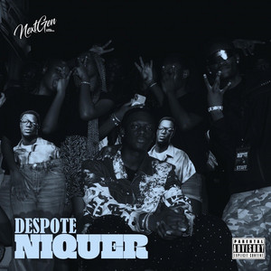 NIQUER by Despote
