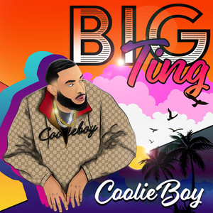 Big Ting - song and lyrics by Coolie Boy | Spotify