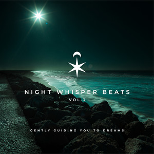 Night Whisper Beats - Gently Guiding You to Dreams Vol.3