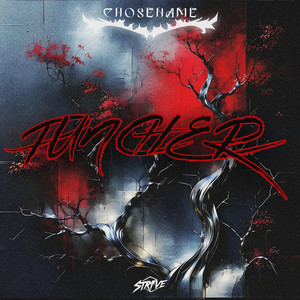 Puncher by chosename