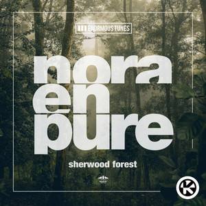 Sherwood Forest cover art