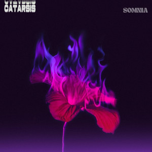 corazón descompuesto by Somnia