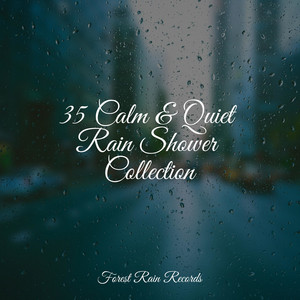 35 Calm & Quiet Rain Shower Collection album