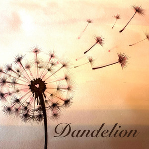 Irv Wauneka - Dandelion