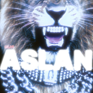 ASLAN by Olvi