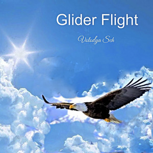 Volodya Sch — Glider Flight