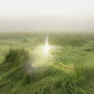 BOTTOM LIGHT (feat. Julous) by VALAN, Julous