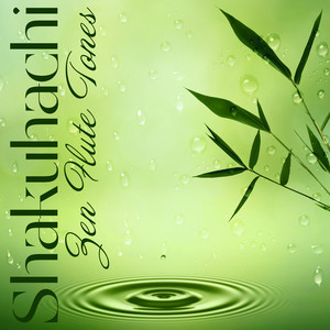 Shakuhachi Zen Flute Tones - Over One Hours of the Best Traditional Japanese Music for Stress Relief and Healing album