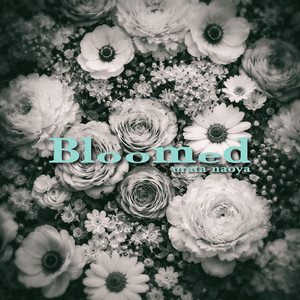 Bloomed by 浦田直也